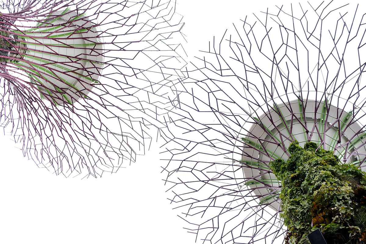 Singapore structures - Nigel Humphies